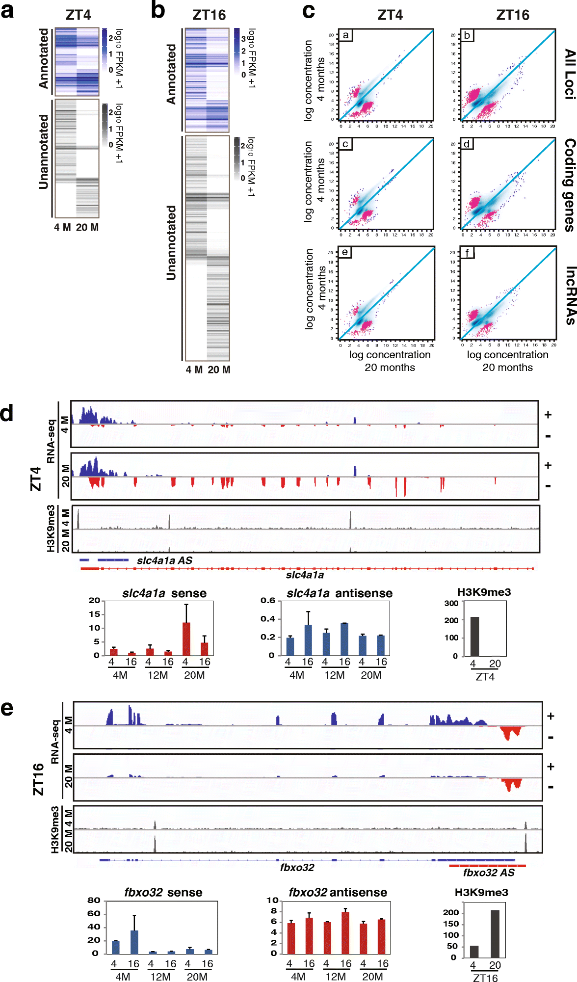 Fig. 5