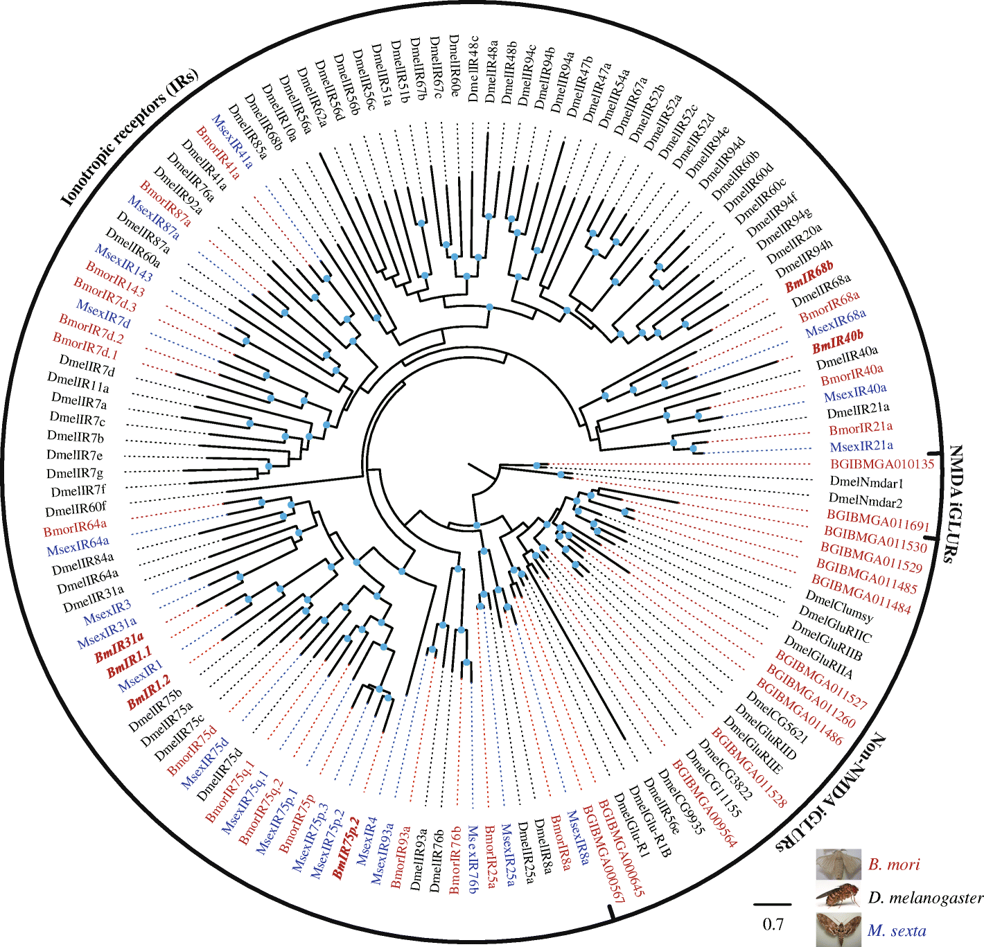 Fig. 2