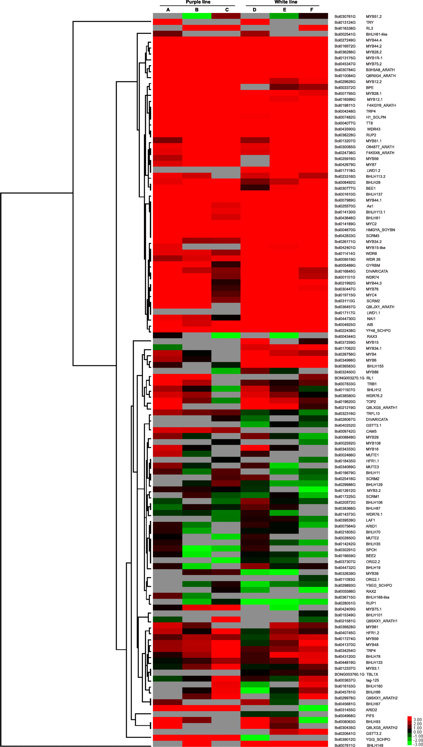 Fig. 7