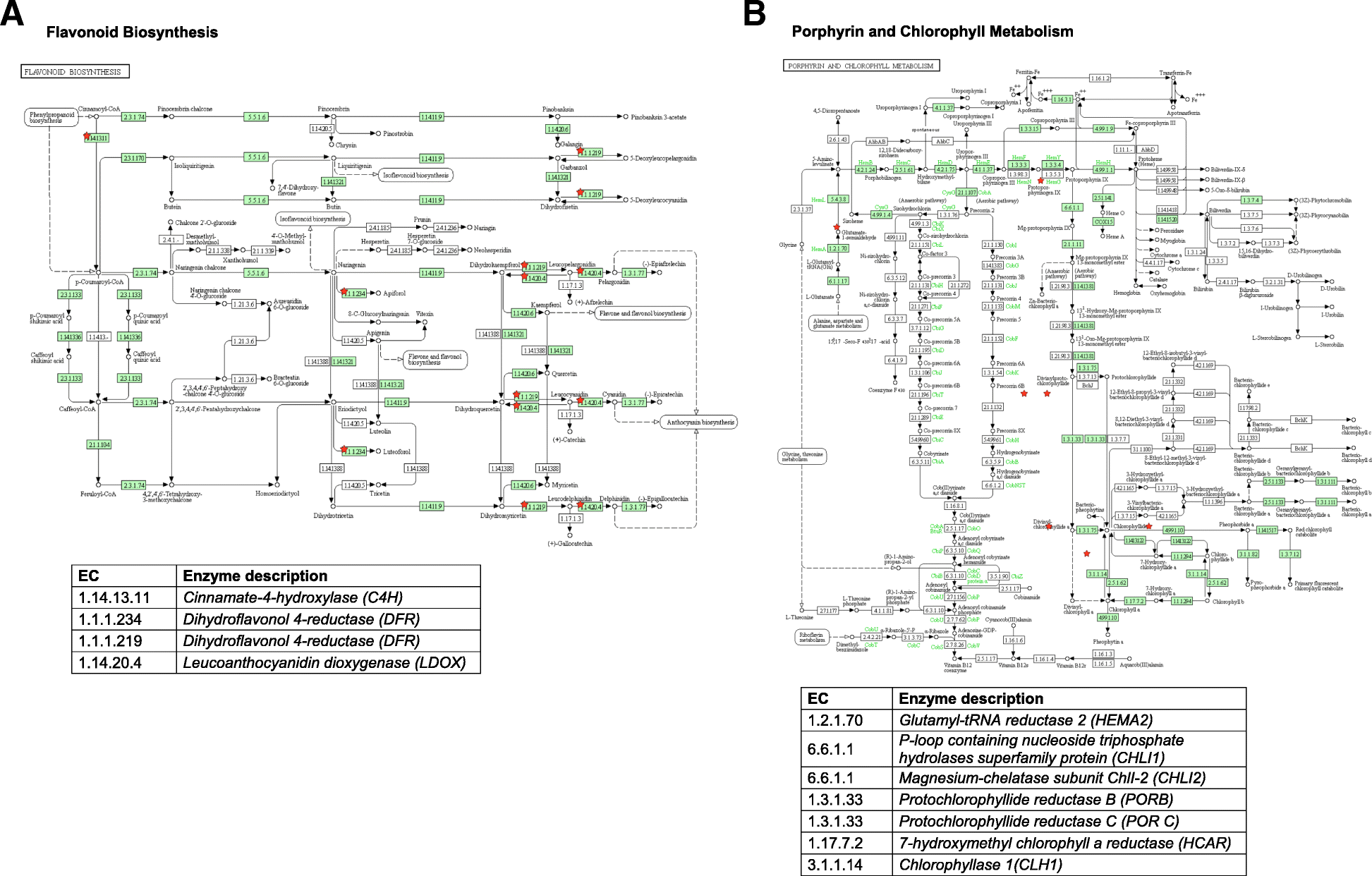 Fig. 9