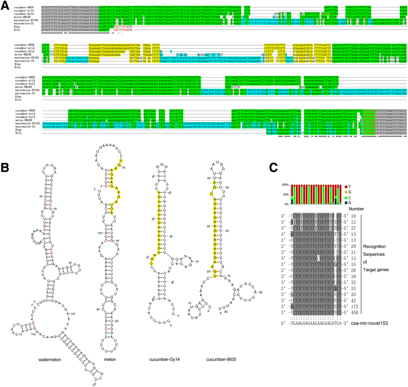 Fig. 8