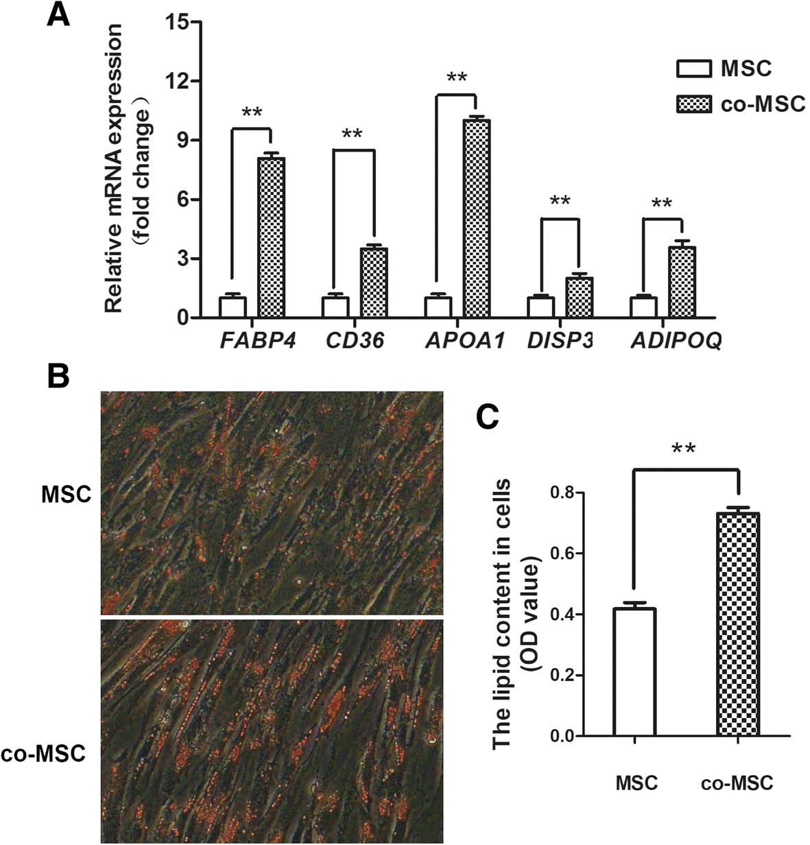 Fig. 4