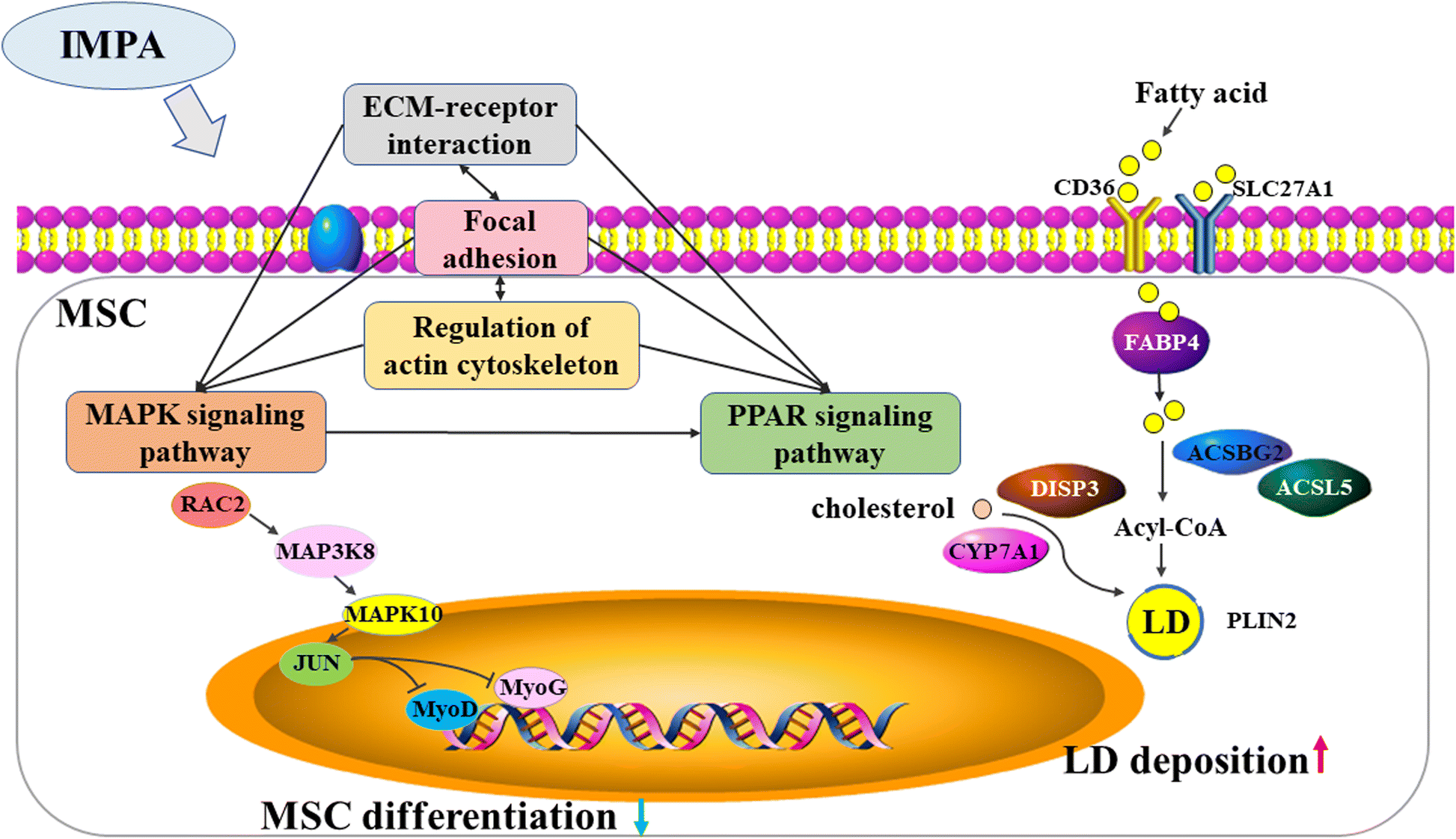 Fig. 6