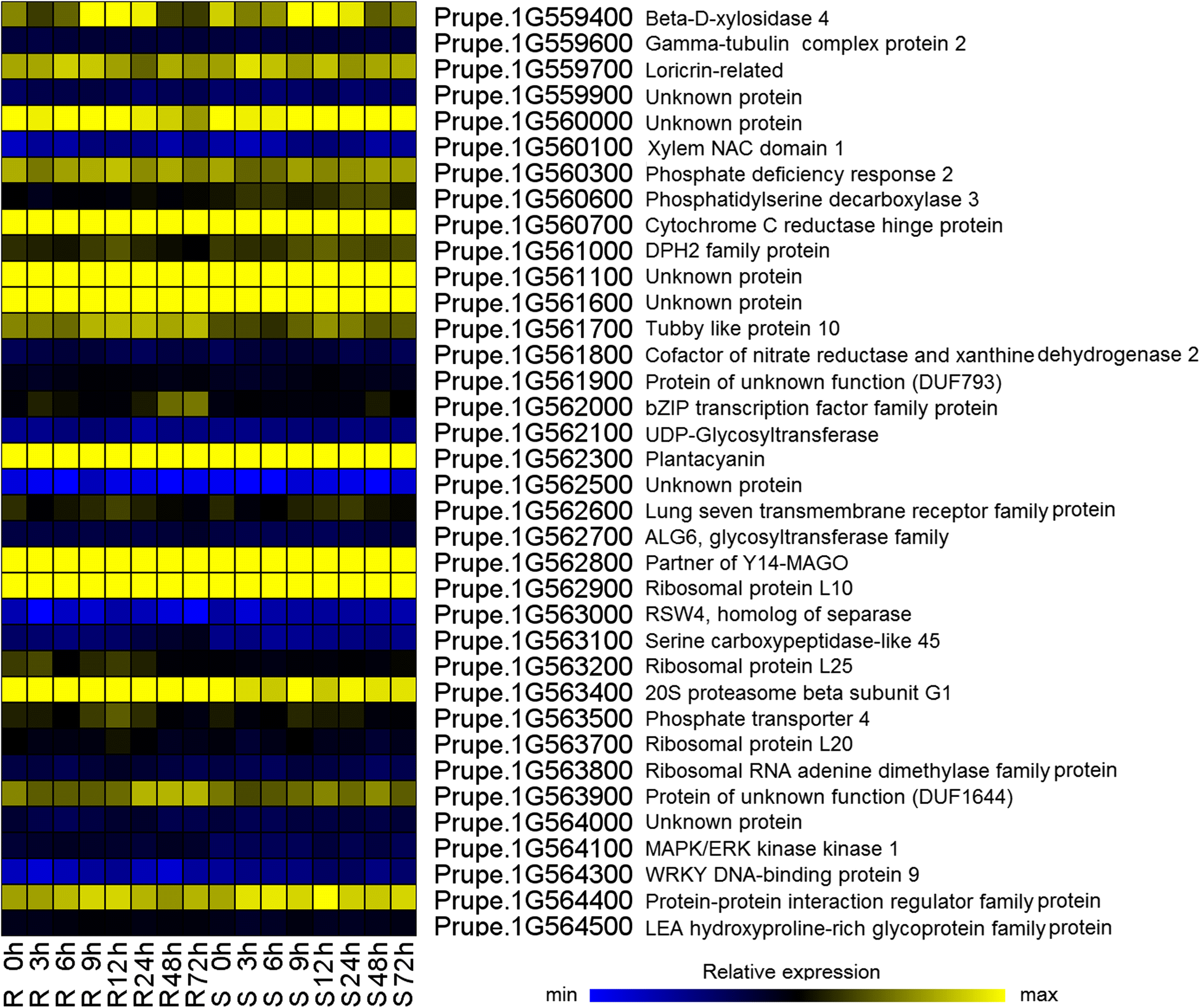 Fig. 6