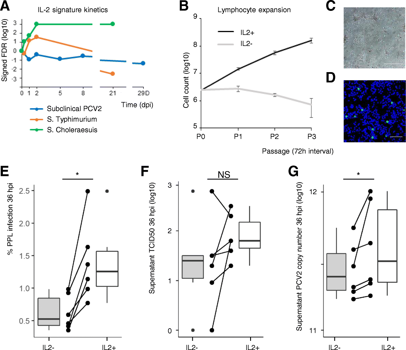 Fig. 5