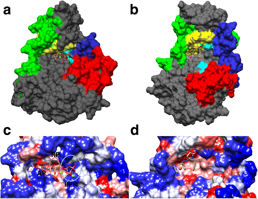 Fig. 10