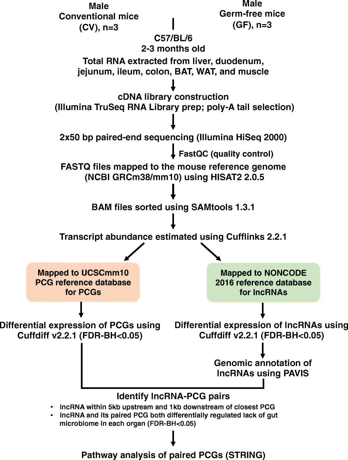 Fig. 14