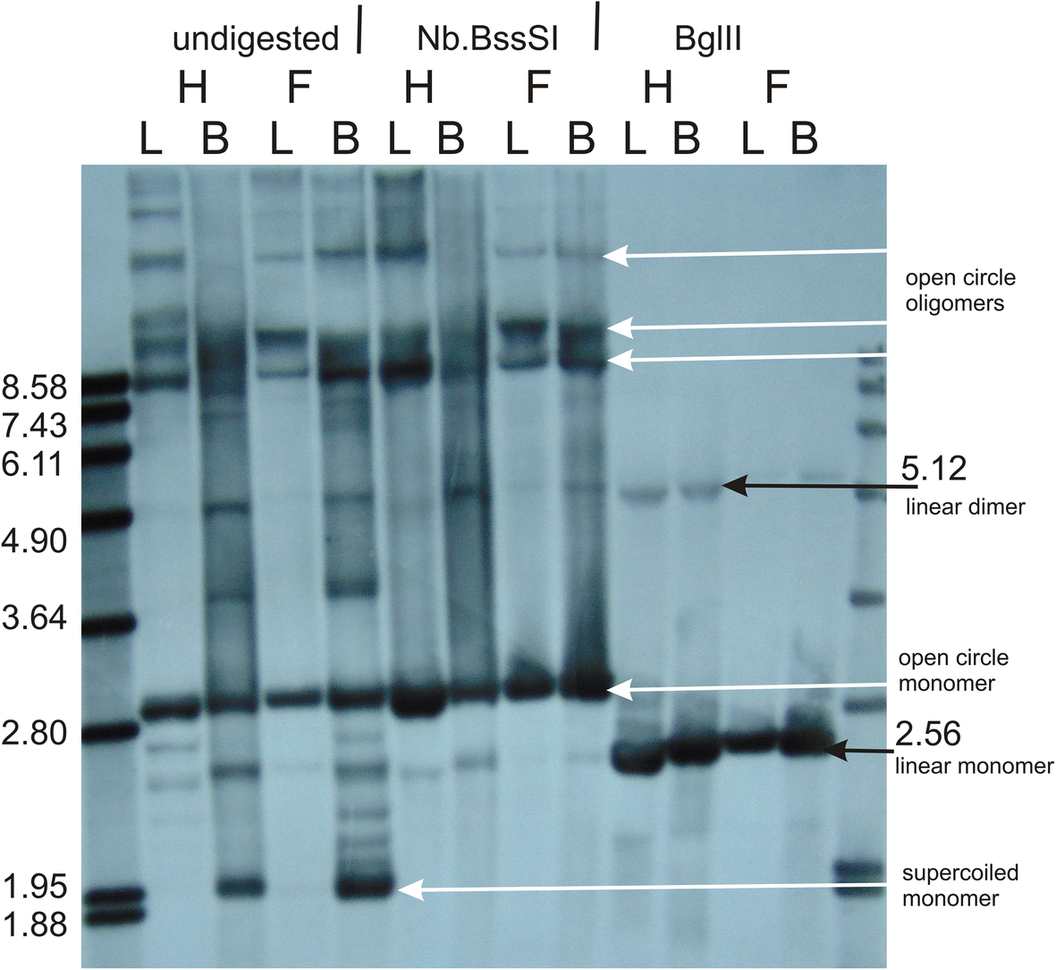 Logous Recombination Changes The Context Of Cytochrome B Fig 2
