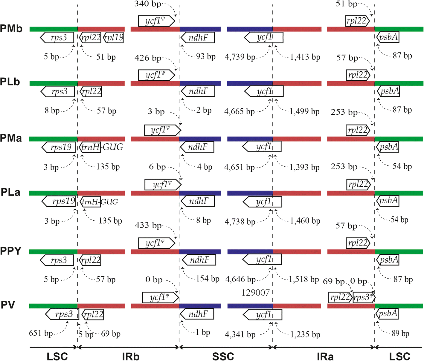 Fig. 5