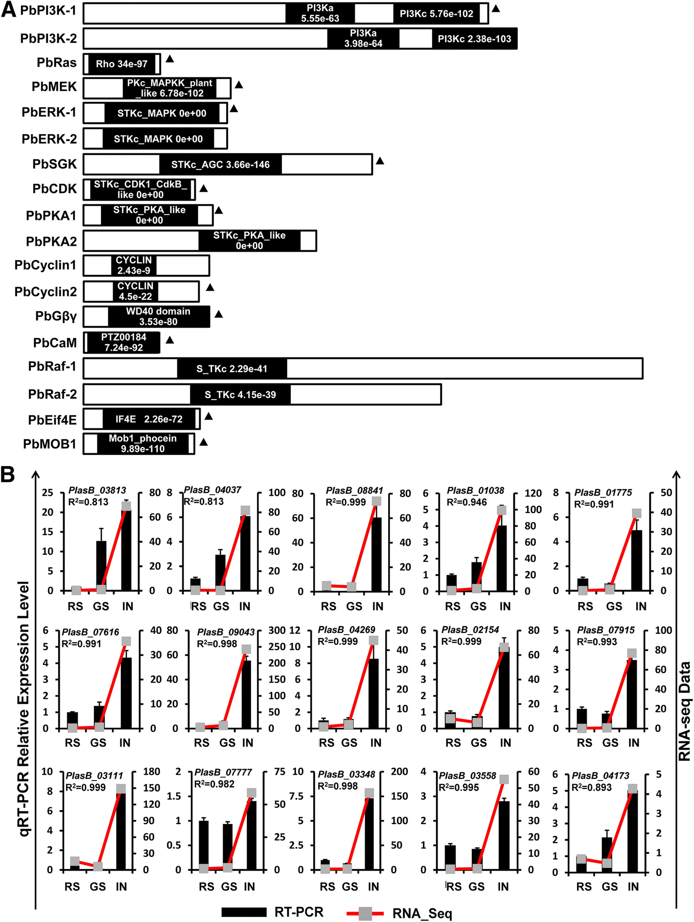 Fig. 5