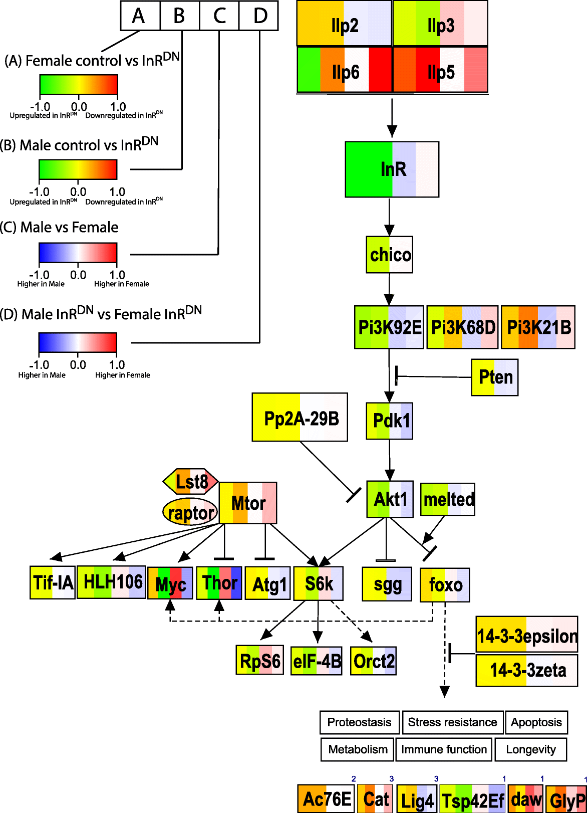 Fig. 6