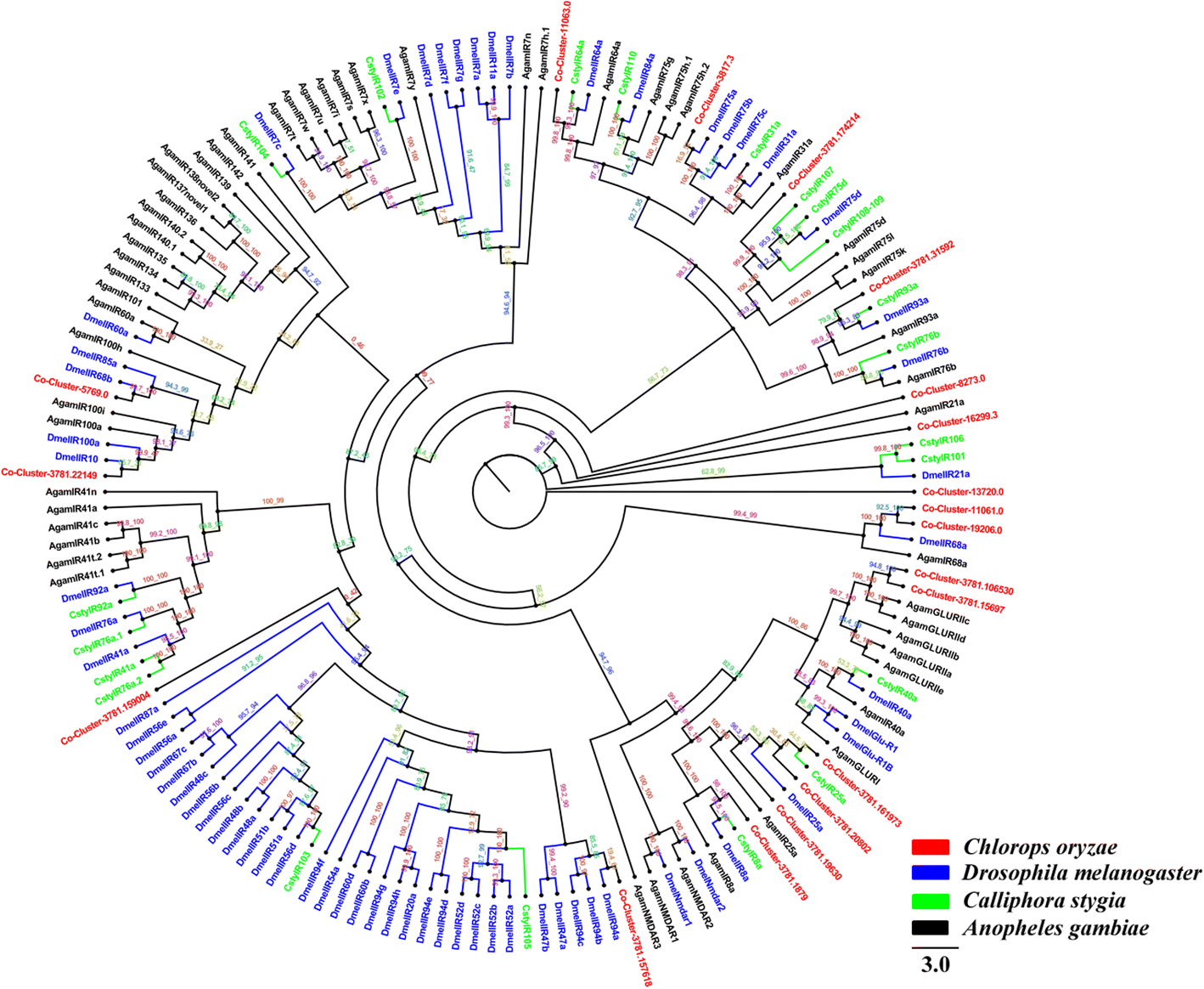 Fig. 3