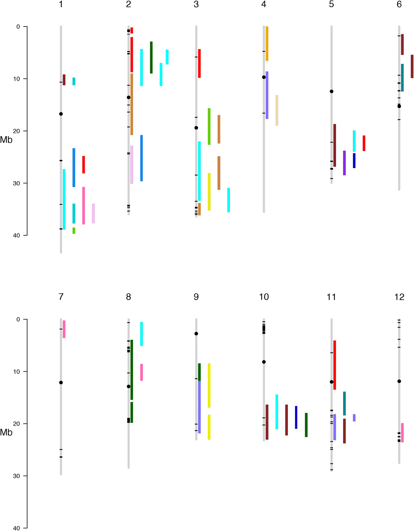 Fig. 7