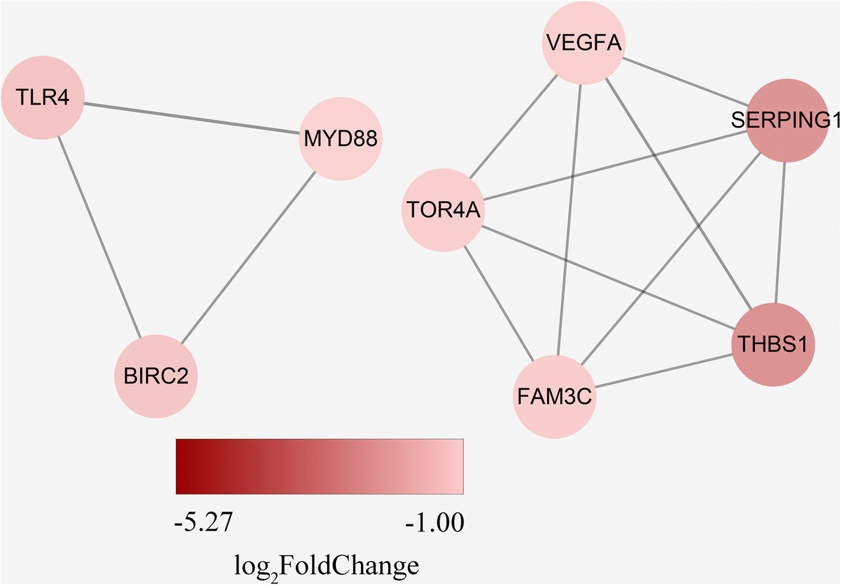 Fig. 5