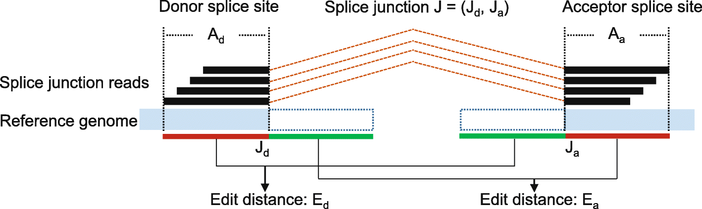 Fig. 10