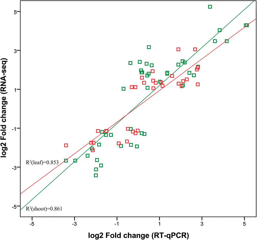 Fig. 8