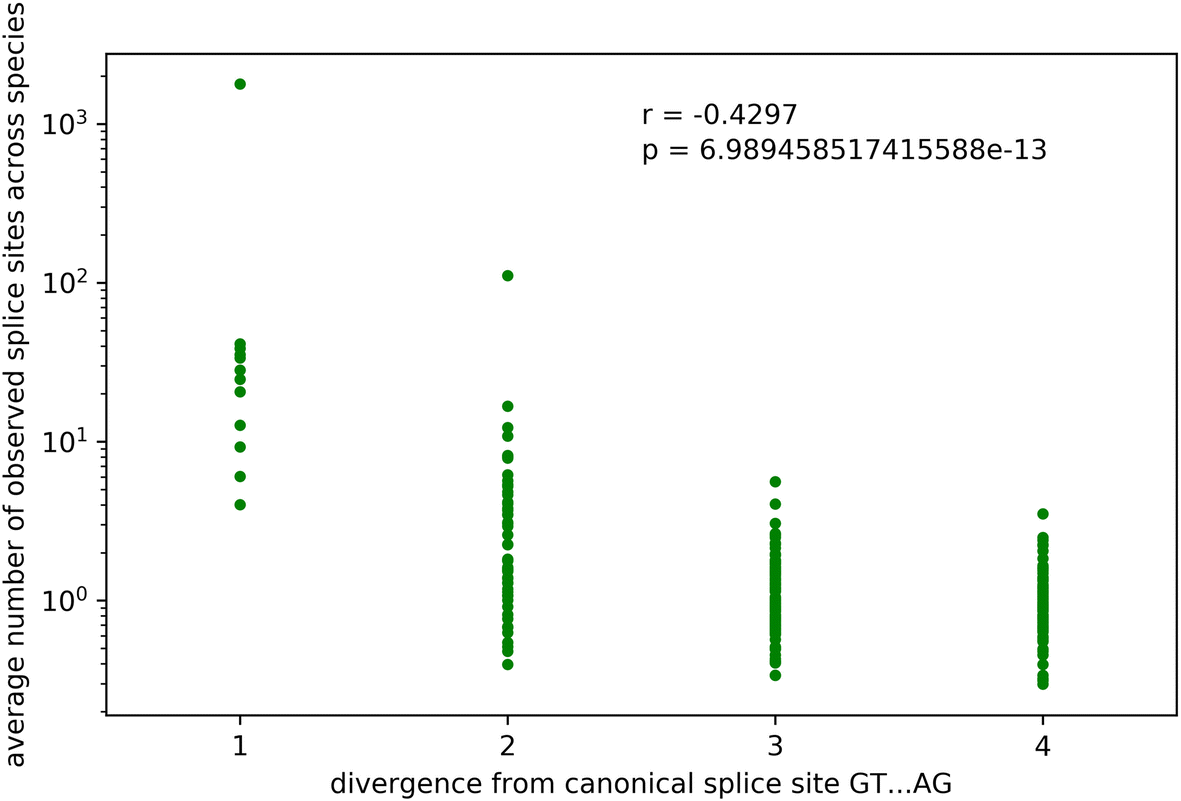 Splice Variants Reveal Connections >> Genome Wide Analyses Supported By Rna Seq Reveal Non Canonical Splice Variants Reveal Connections >> Genome Wide Analyses Supported By Rna Seq Reveal Non Canonical