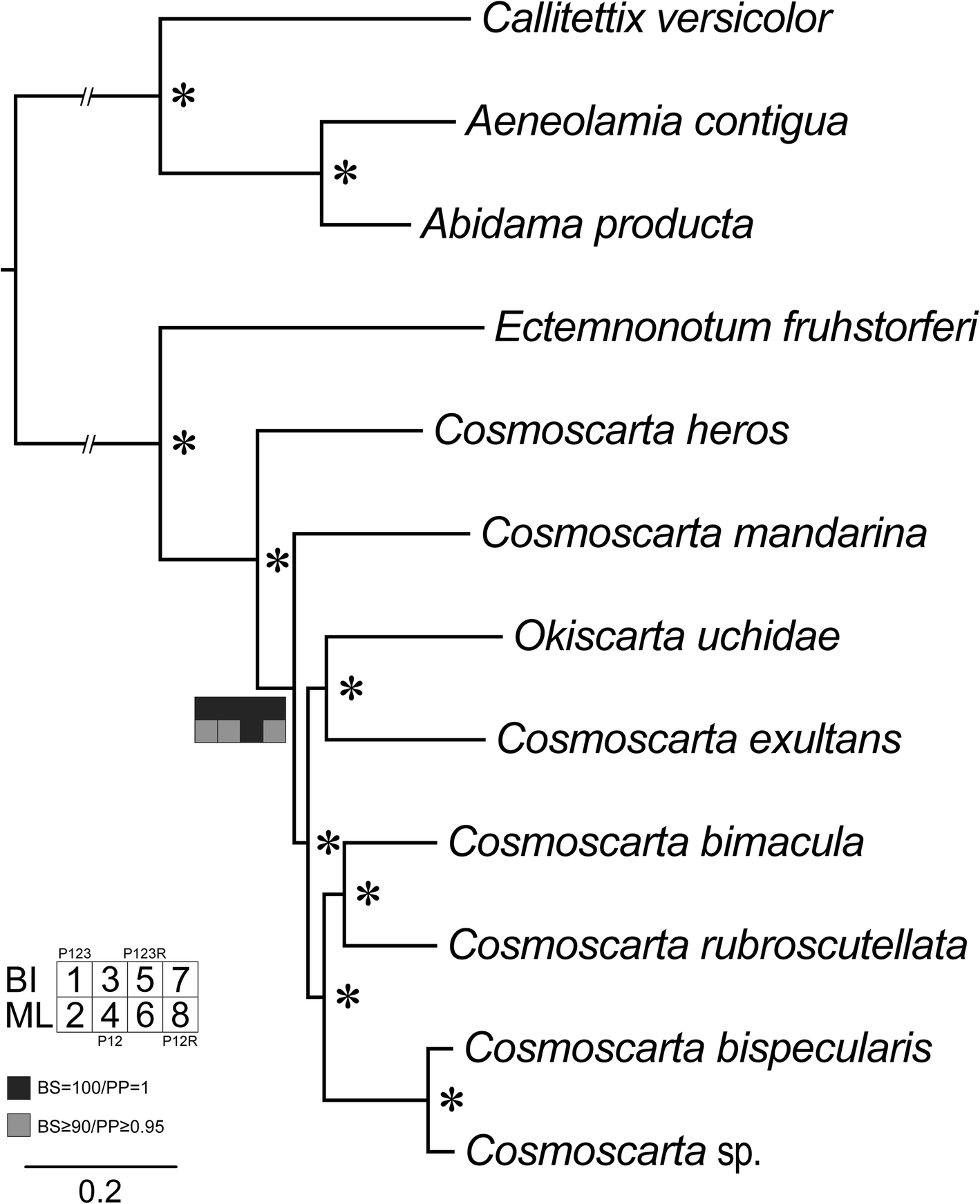 Fig. 7