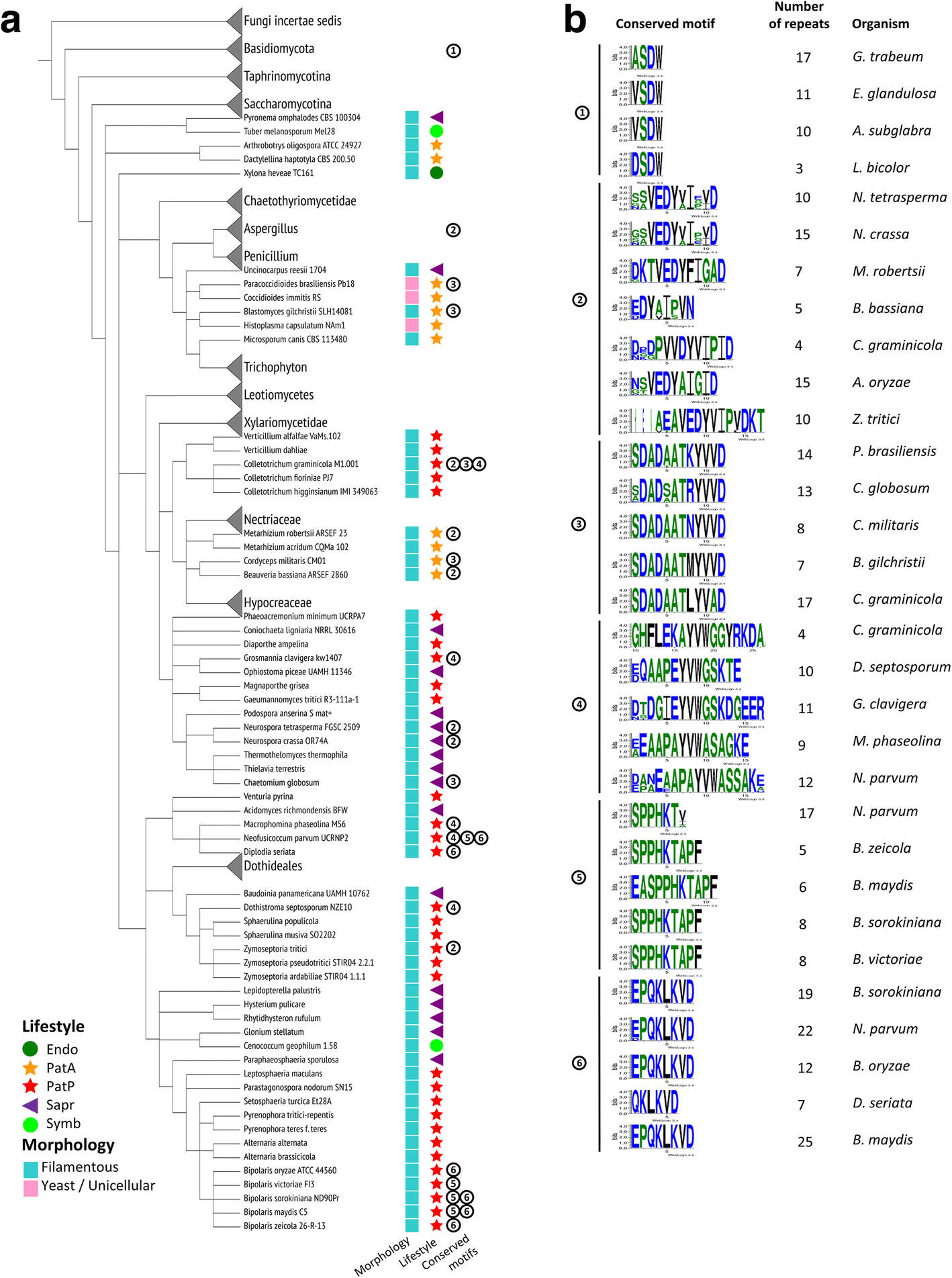 Fig. 8