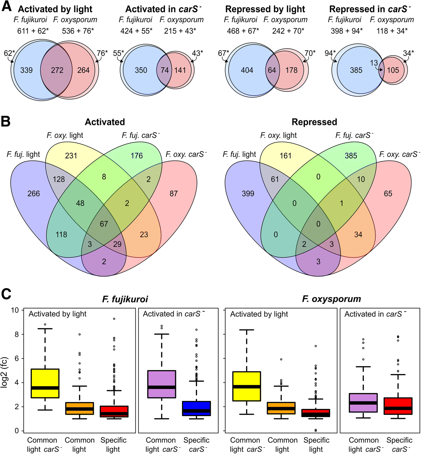 Fig. 8