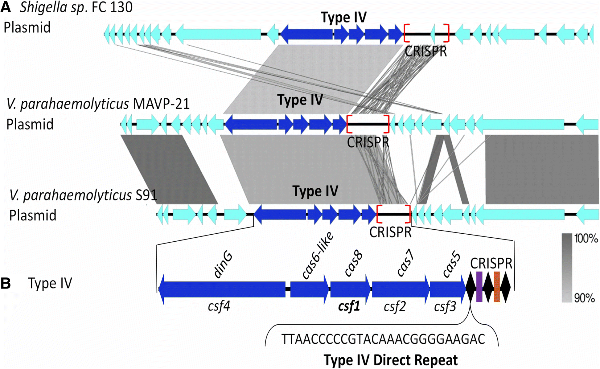 Fig. 12