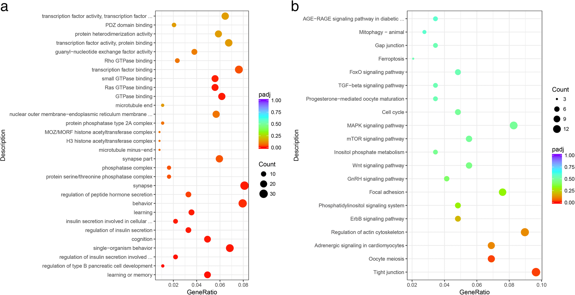 Fig. 10