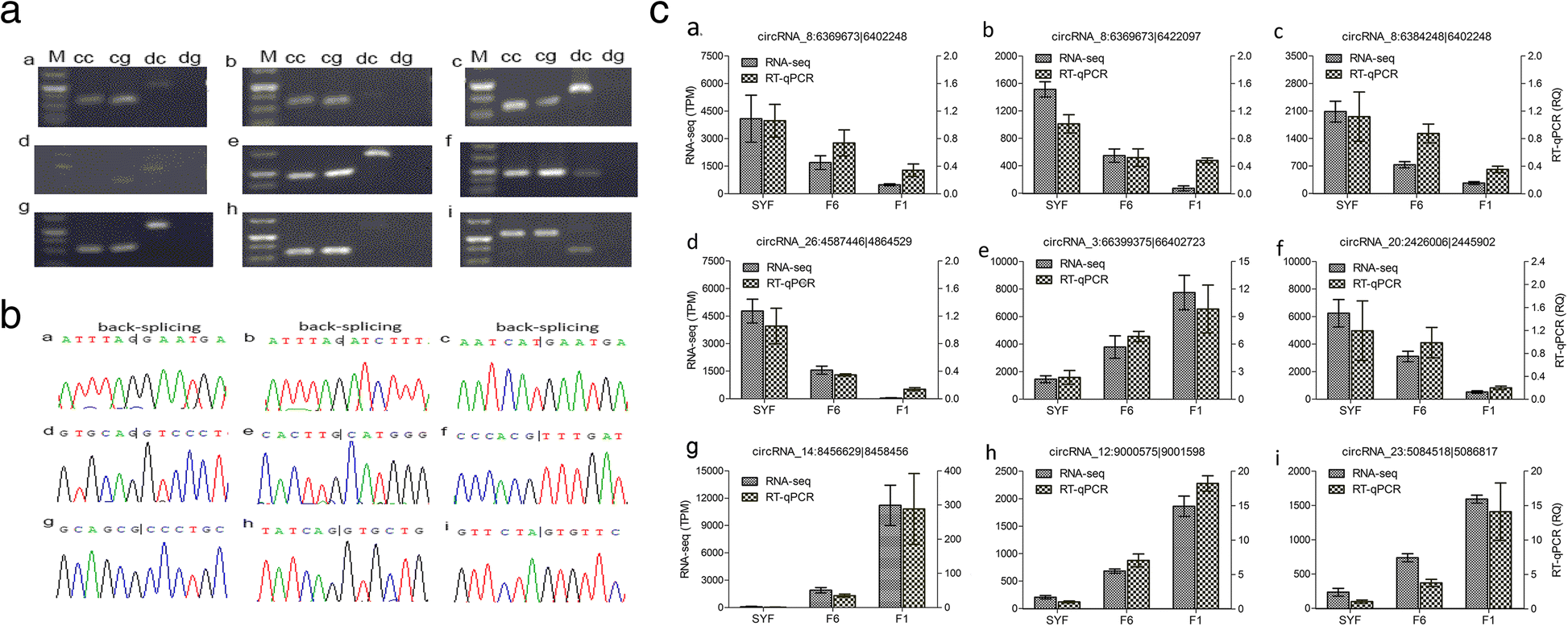 Fig. 7