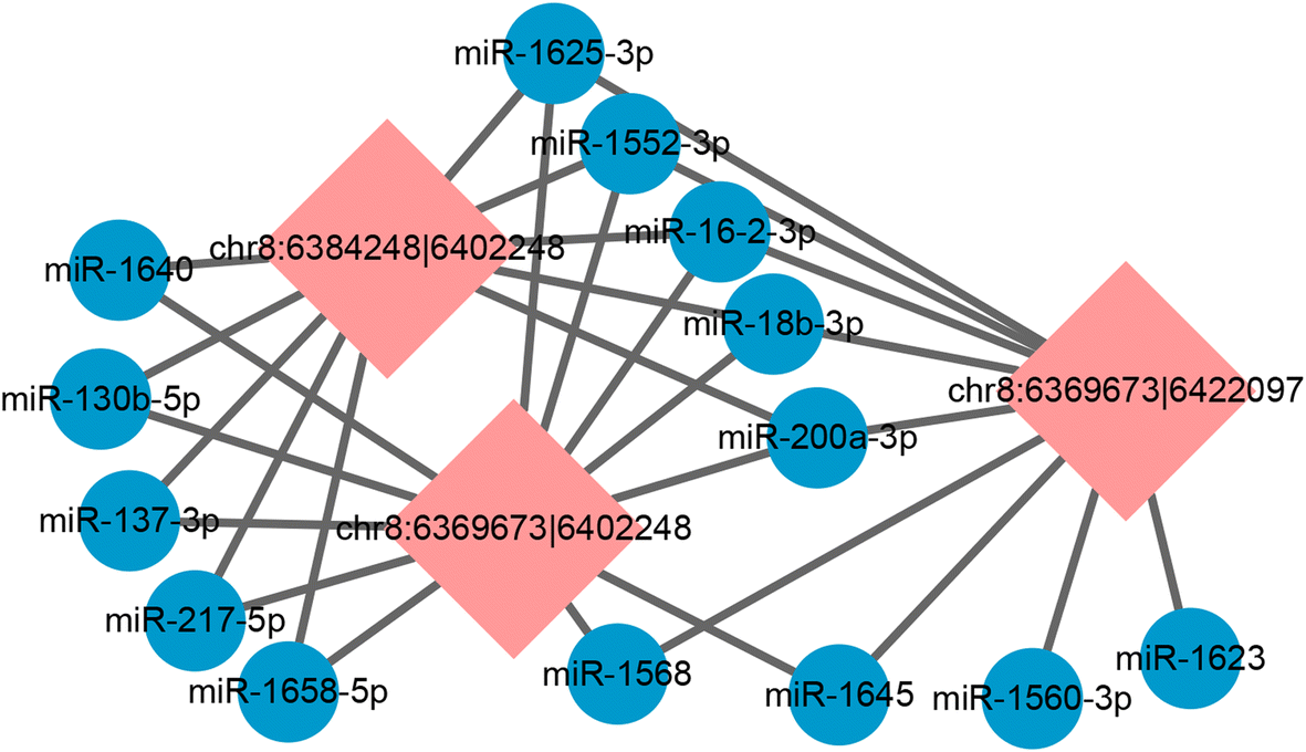 Fig. 9