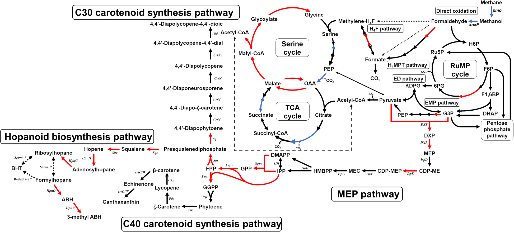 Fig. 2