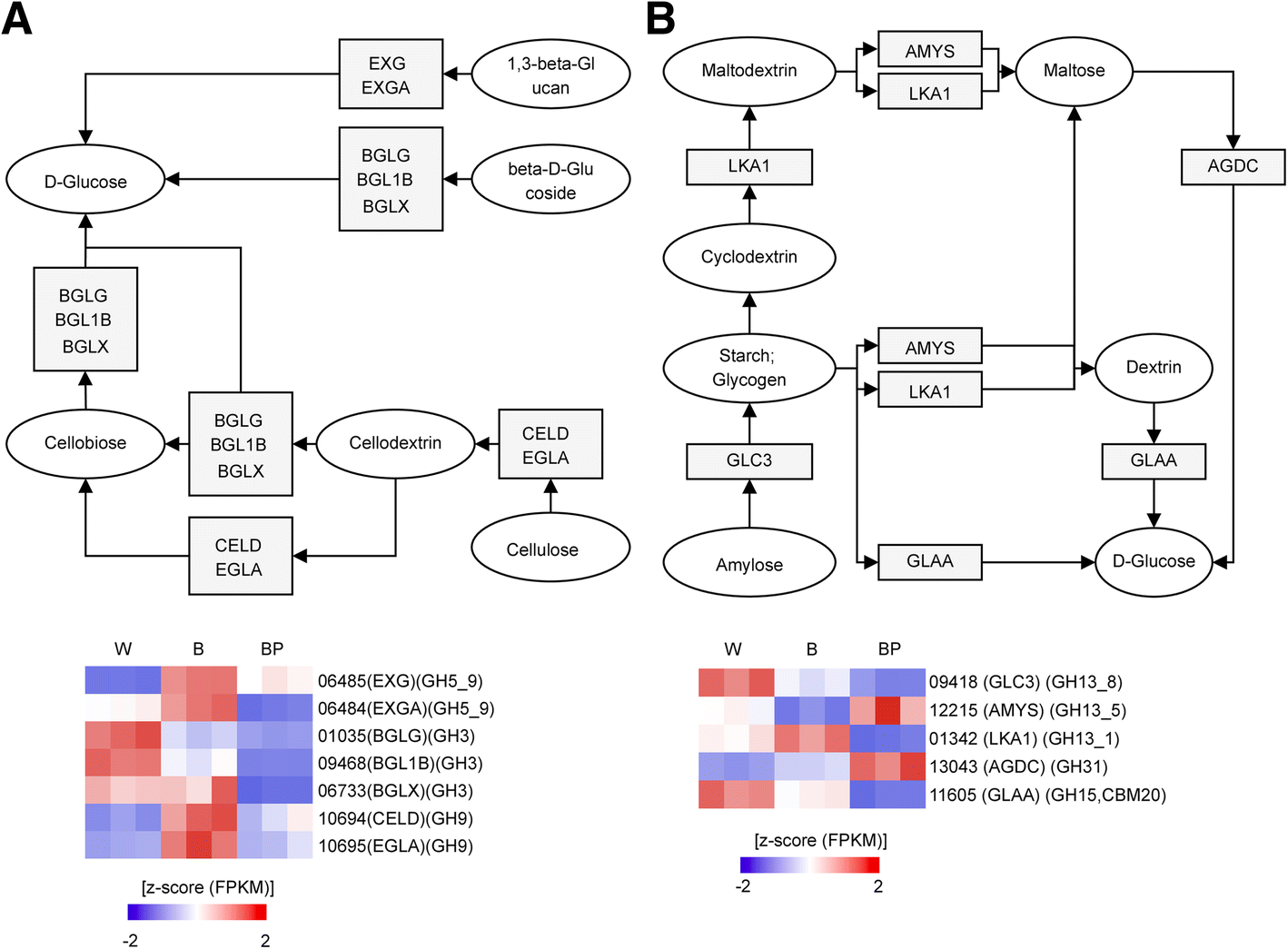 Fig. 6