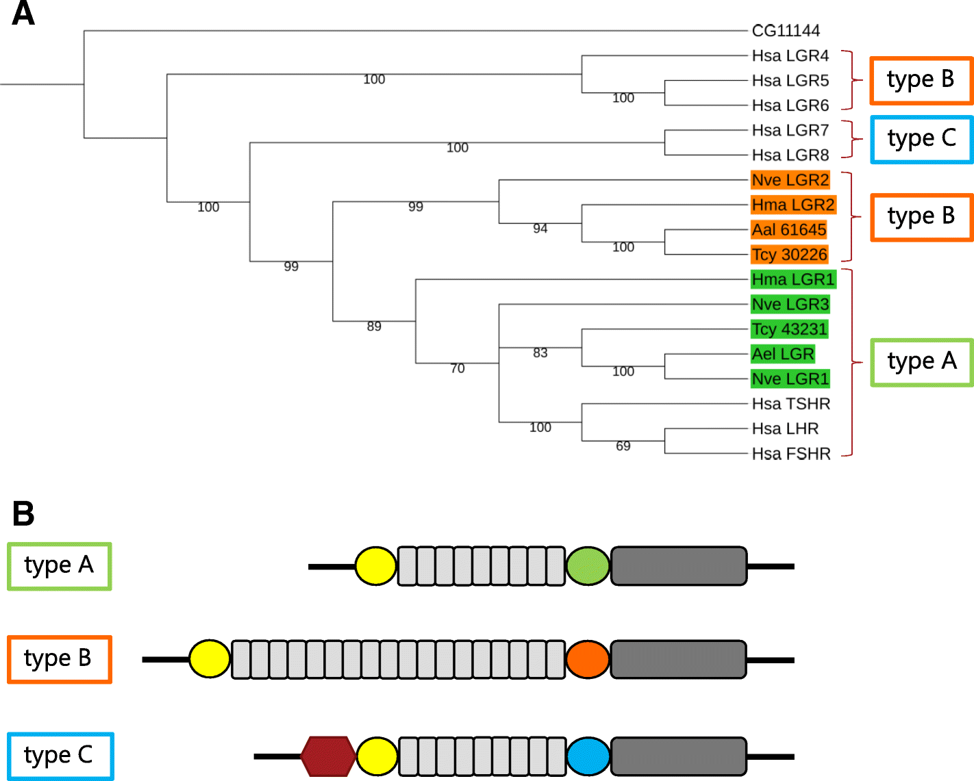 Fig. 8