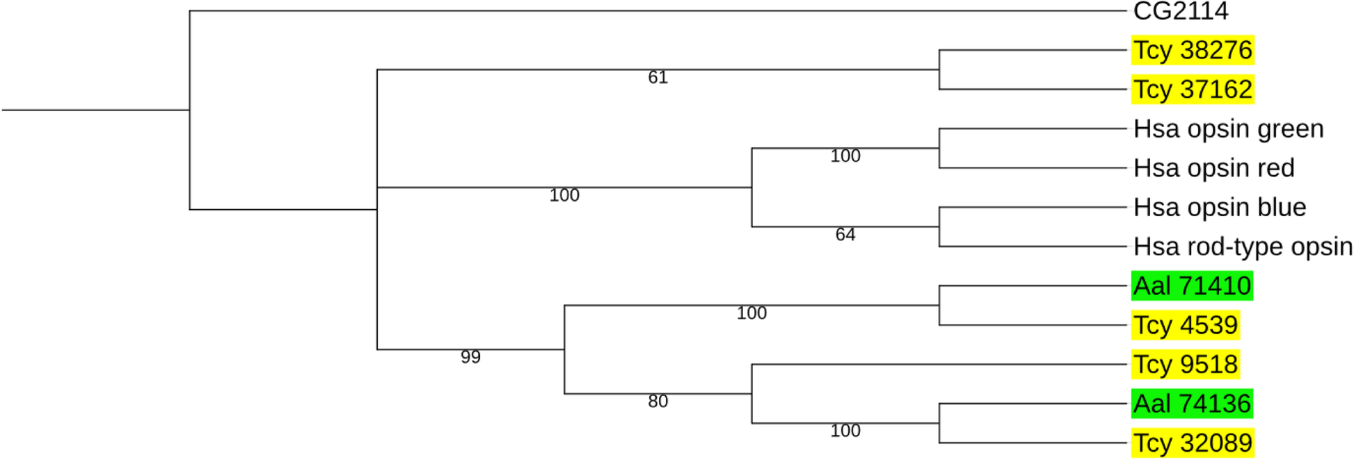 Fig. 9