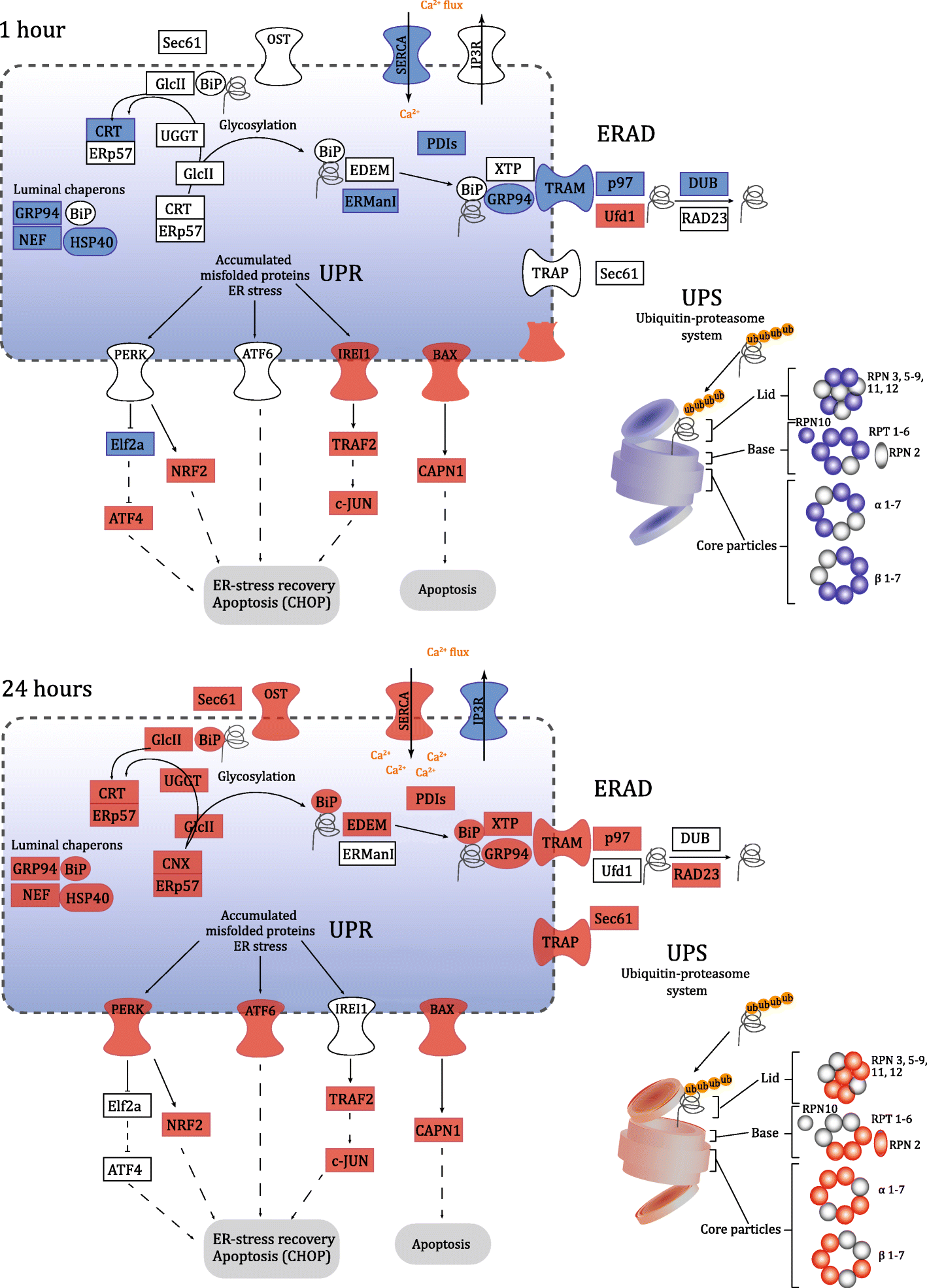 Fig. 2