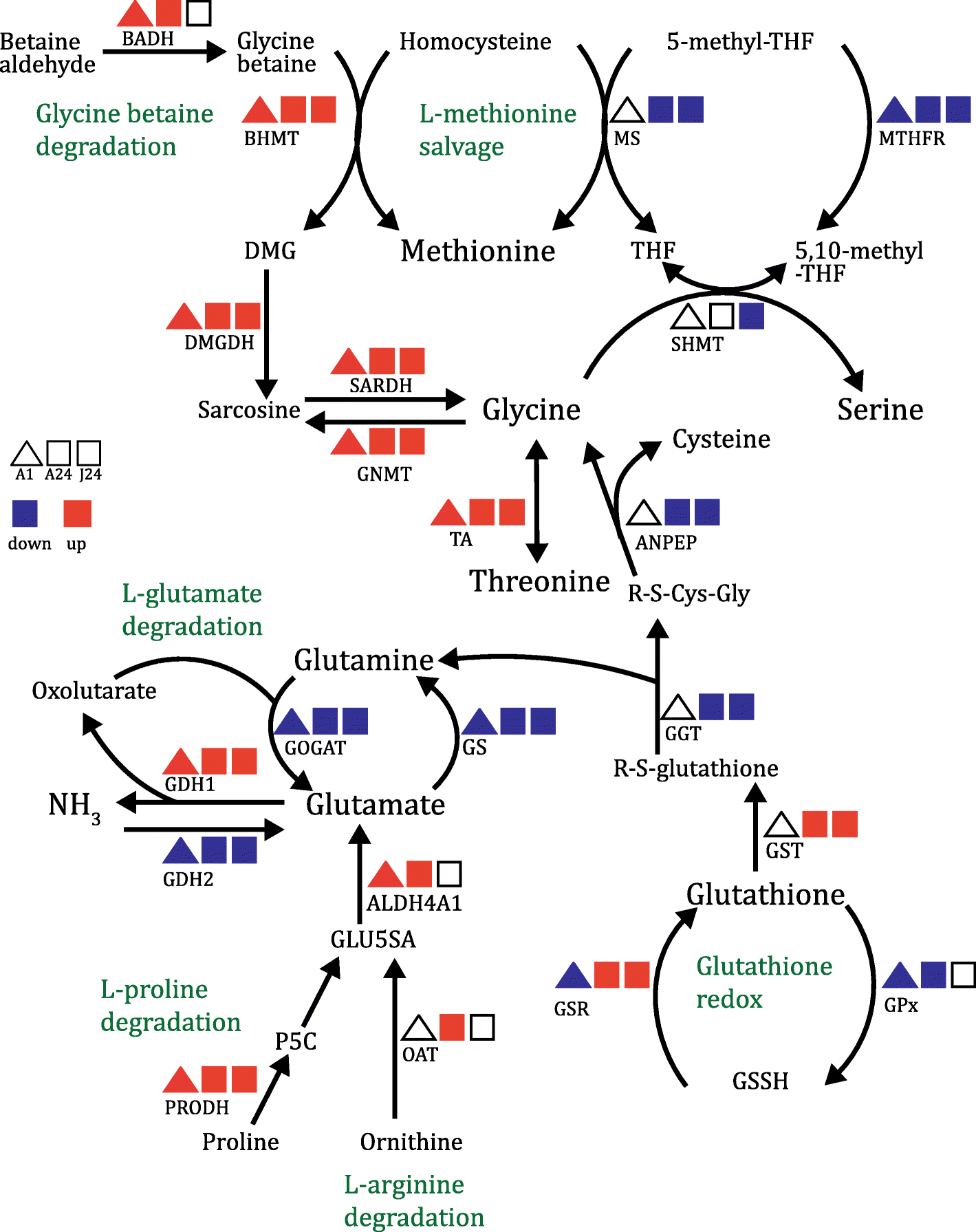 Fig. 3