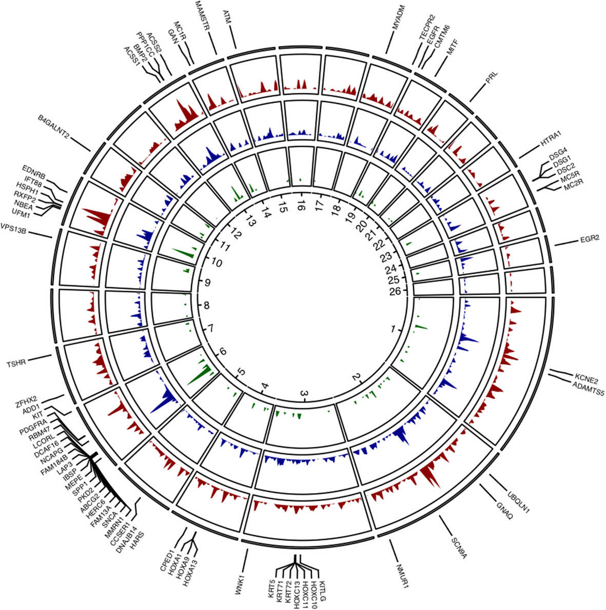 Fig. 2