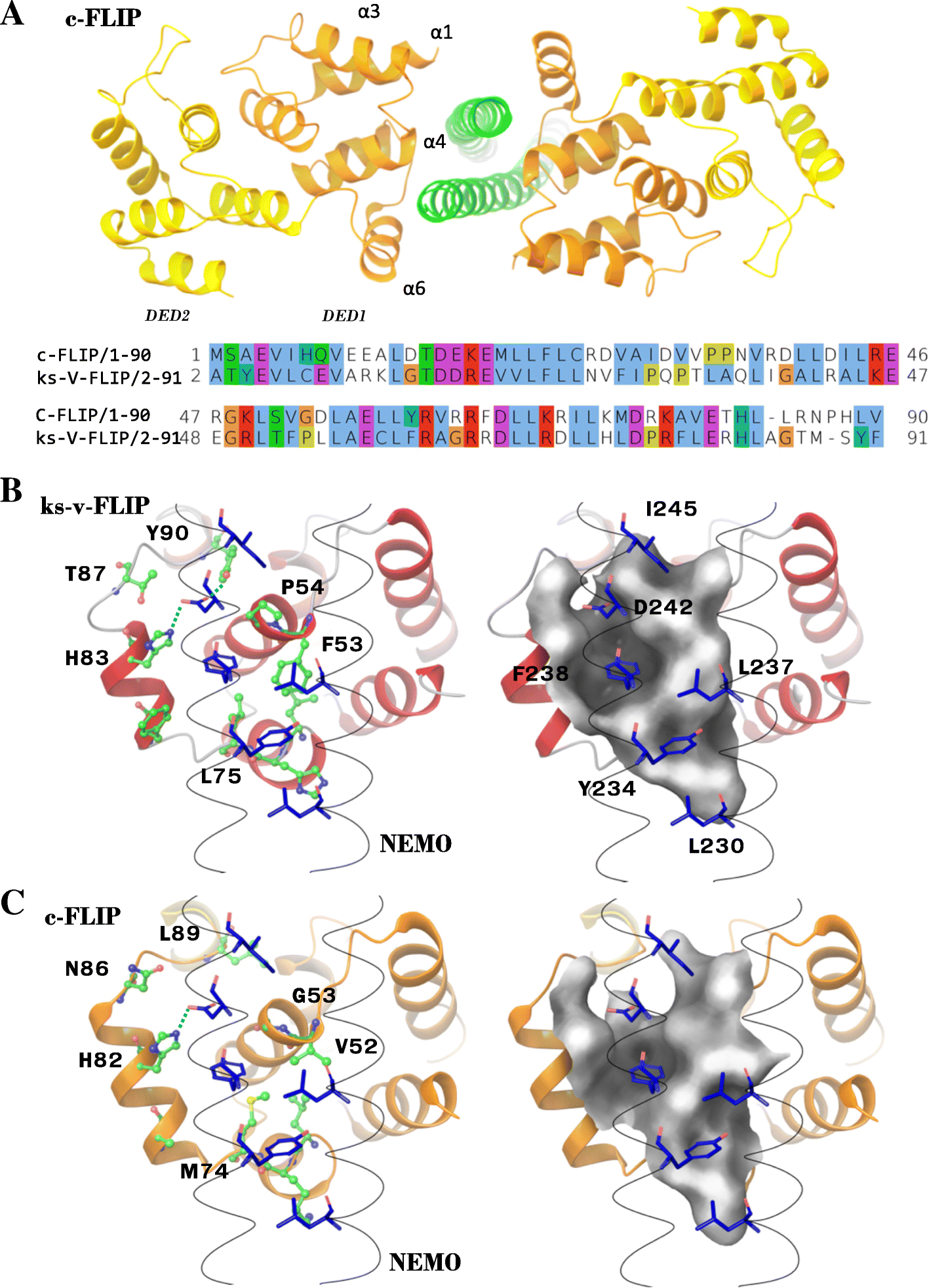 Fig. 3