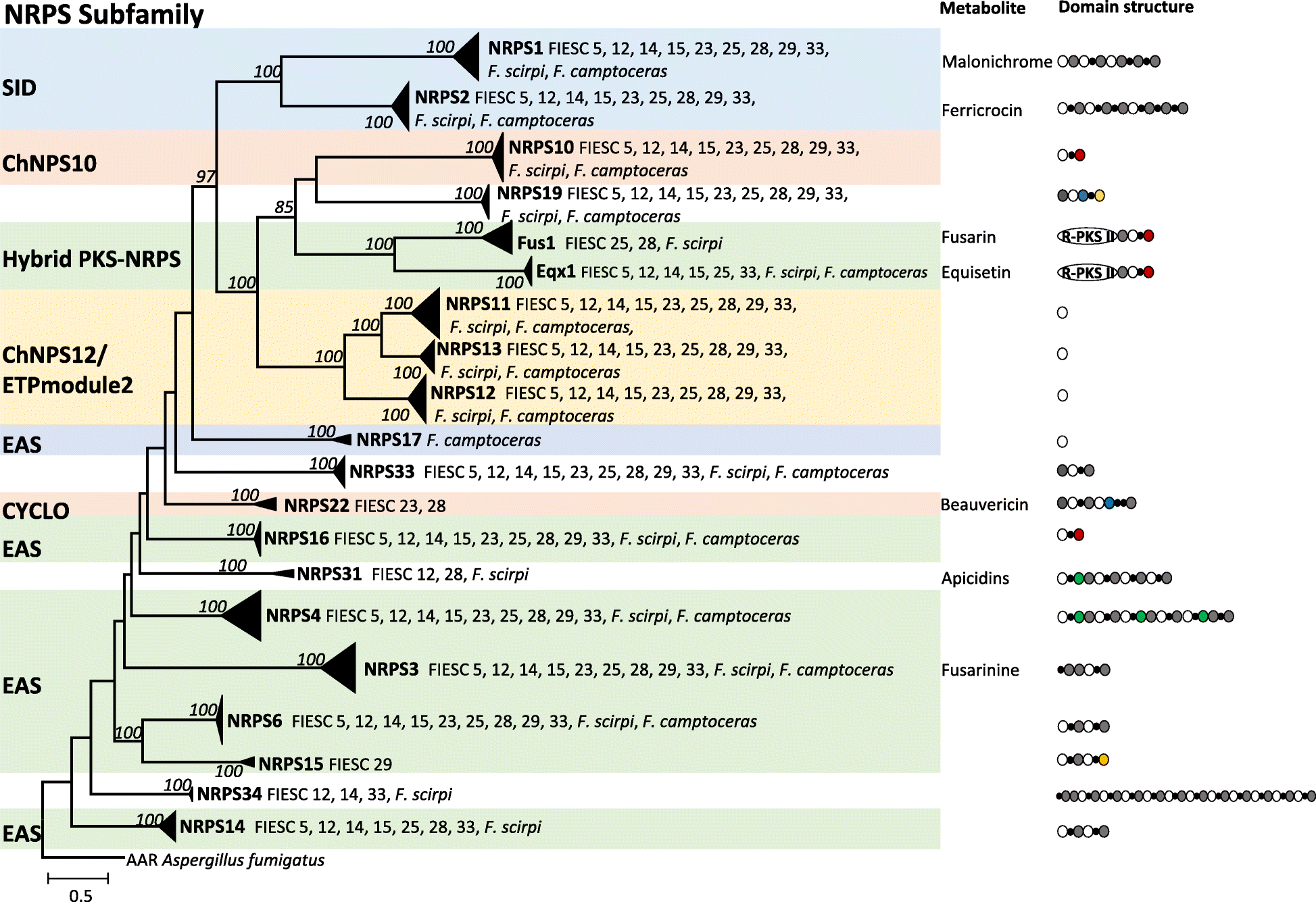 Fig. 6