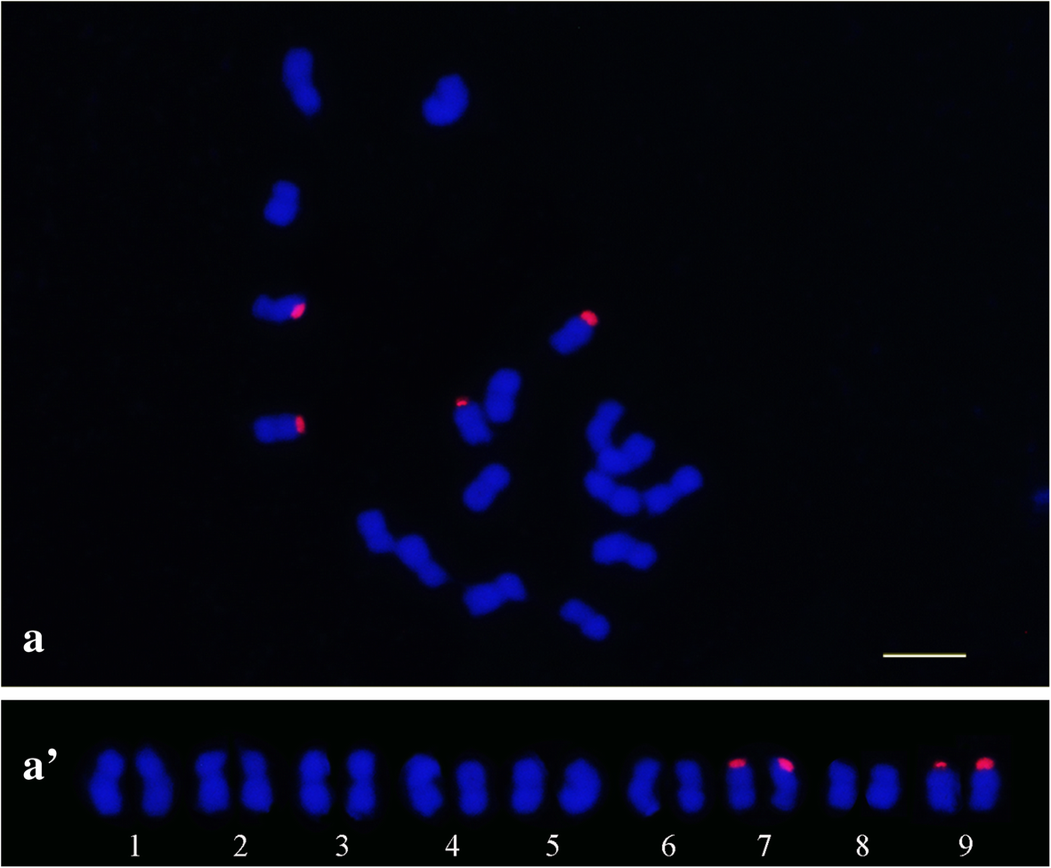 Fig. 7