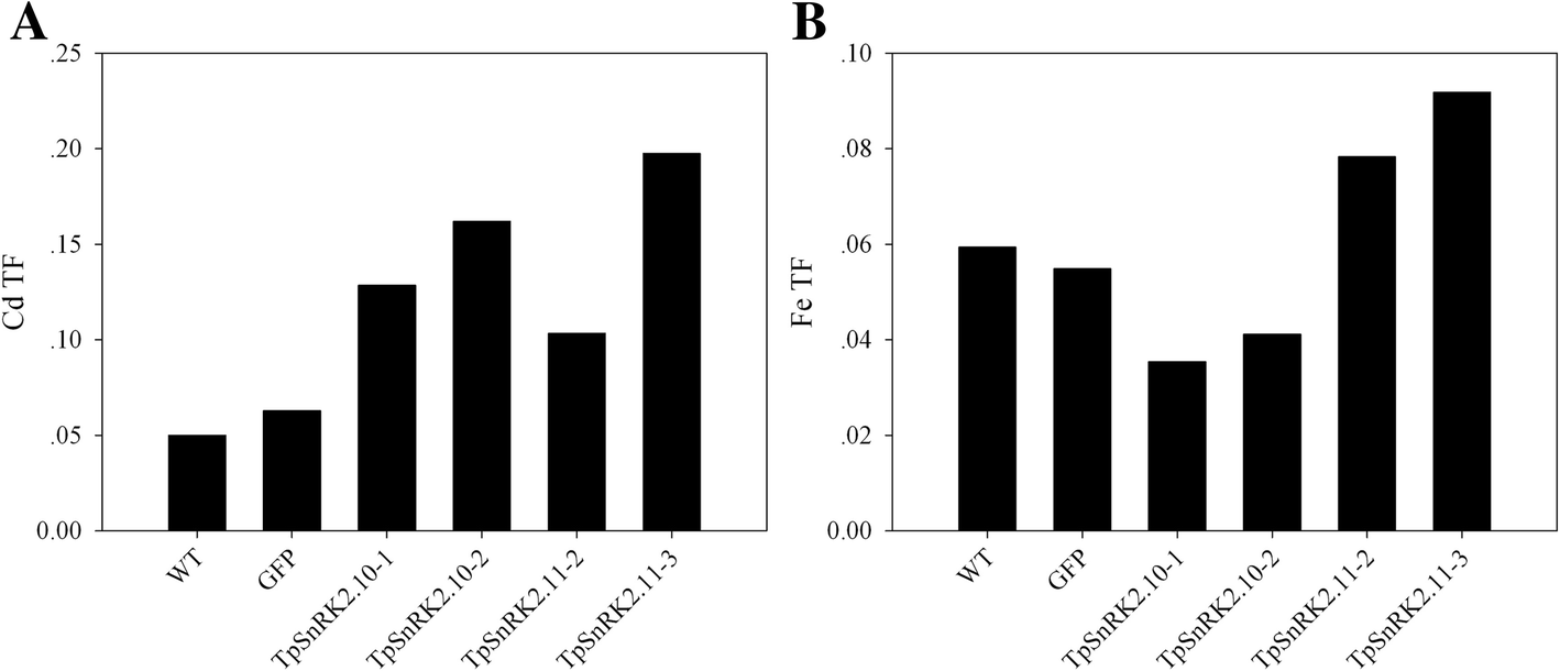 Fig. 7