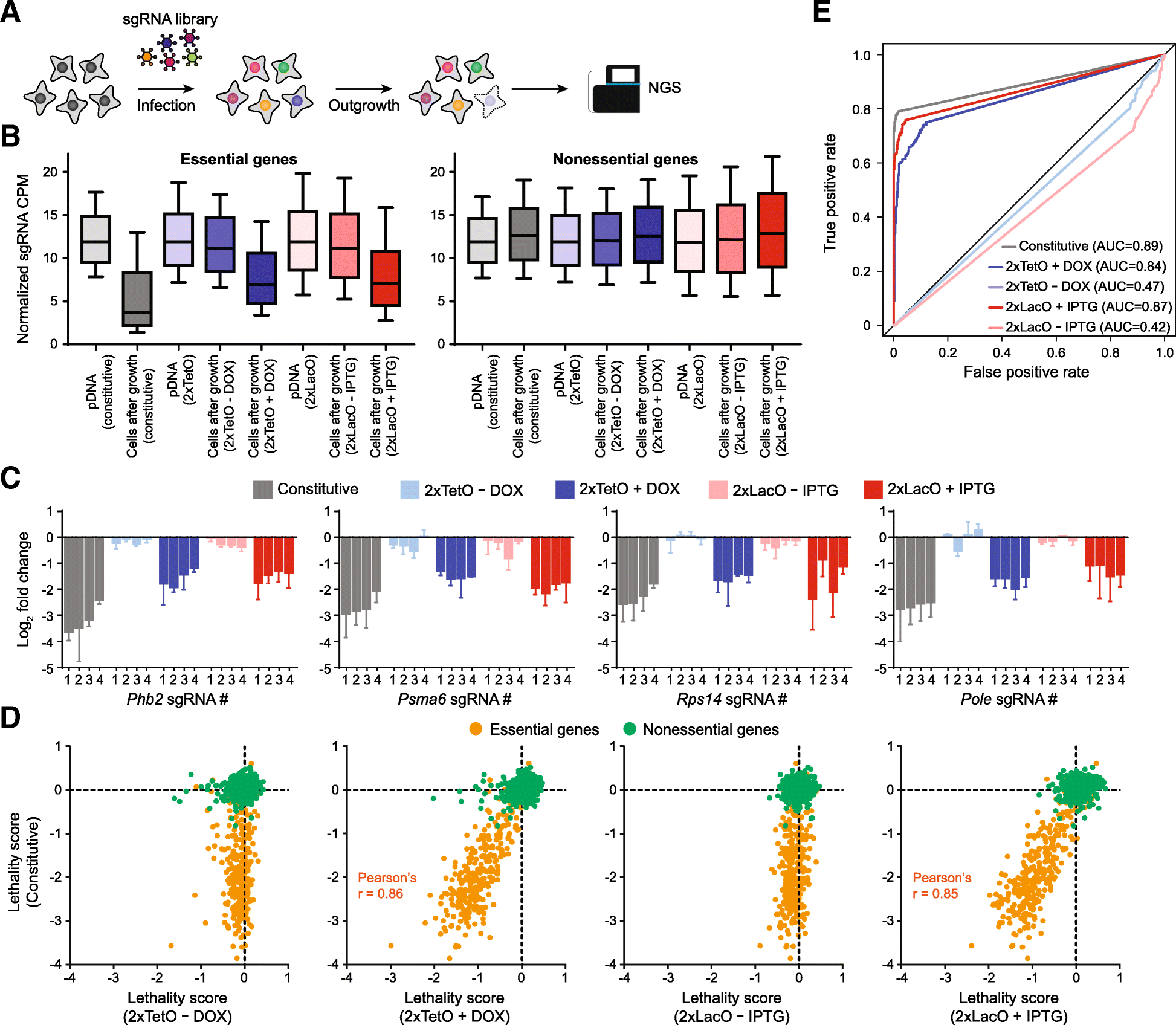 Fig. 4