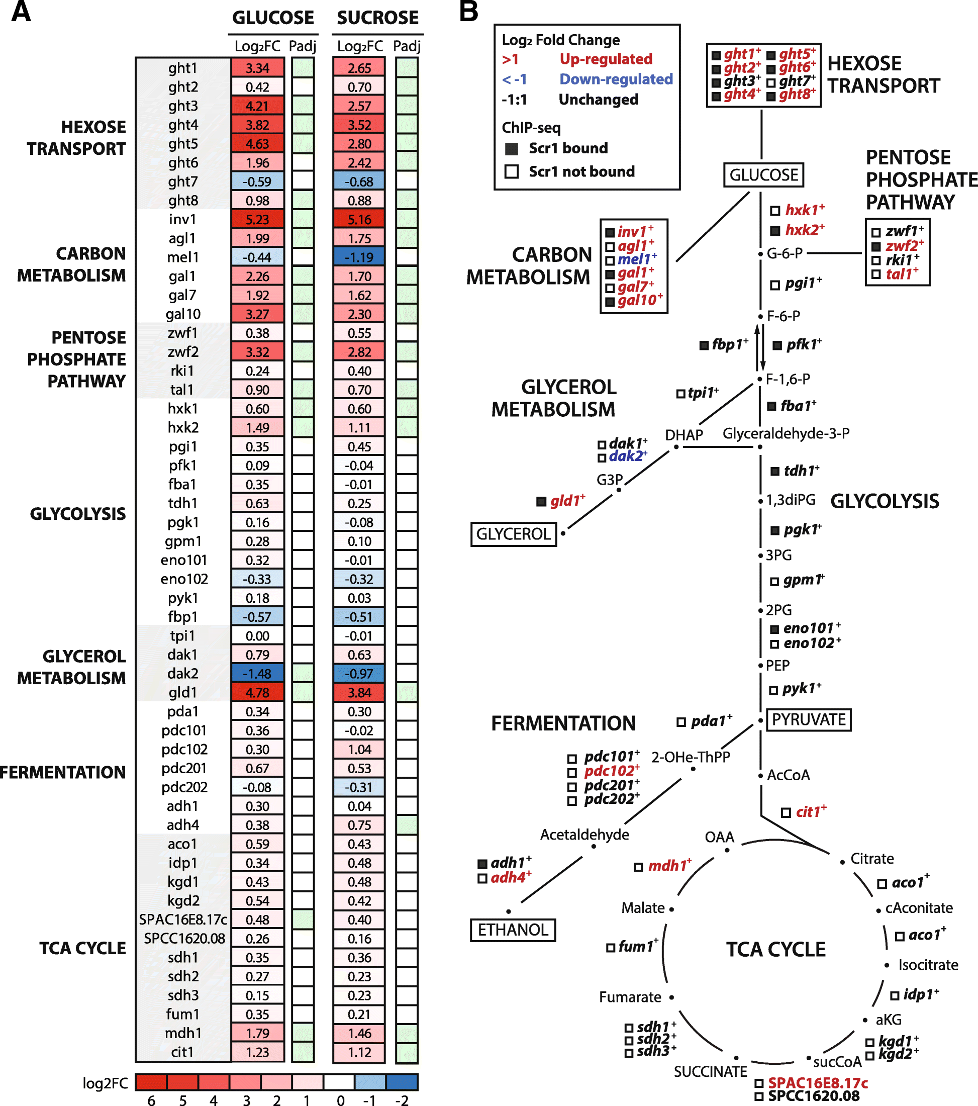 Fig. 2