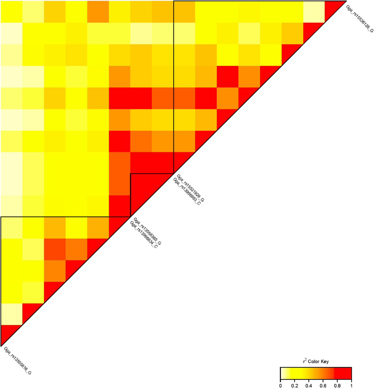 Fig. 4