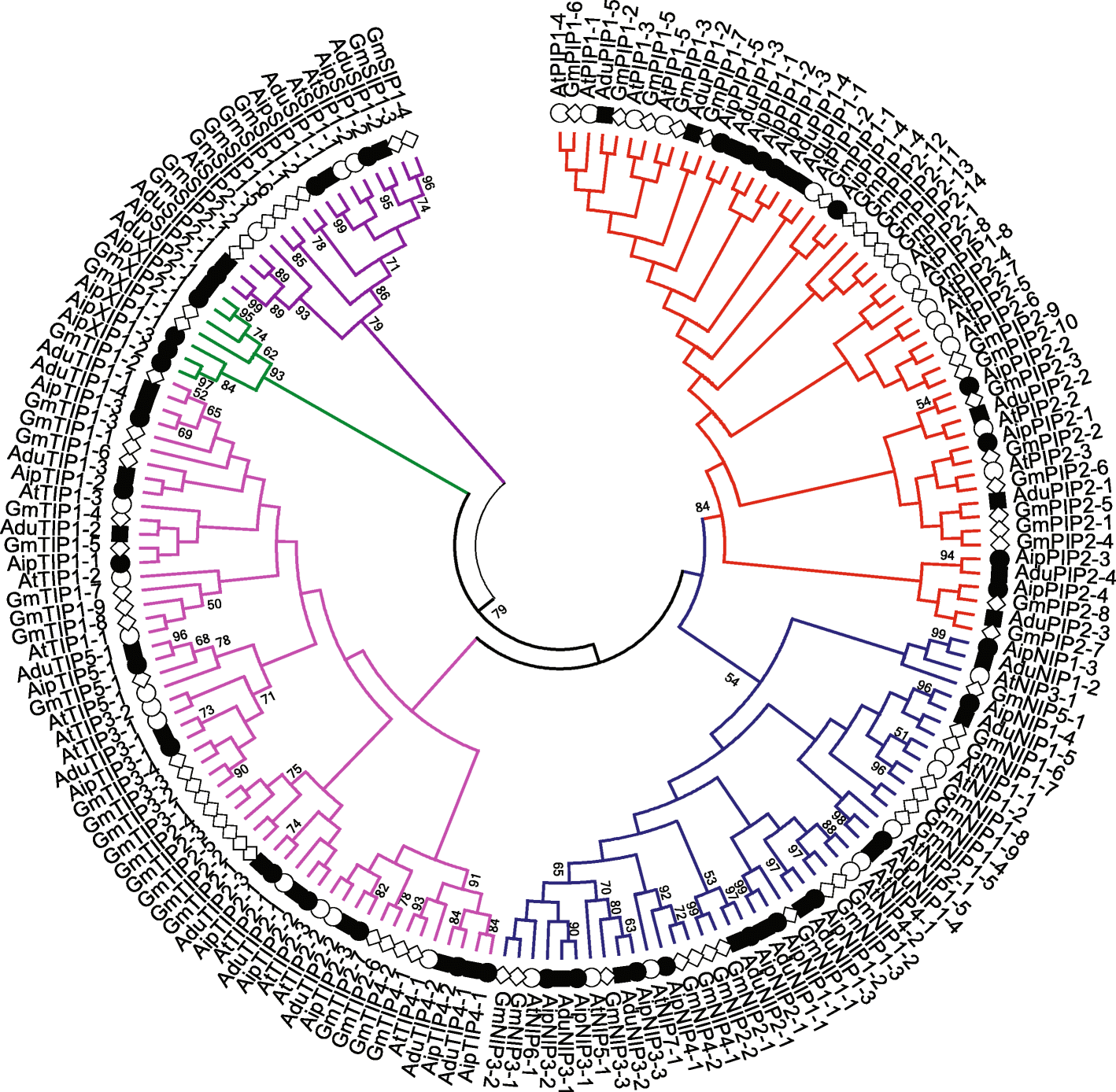 Fig. 1