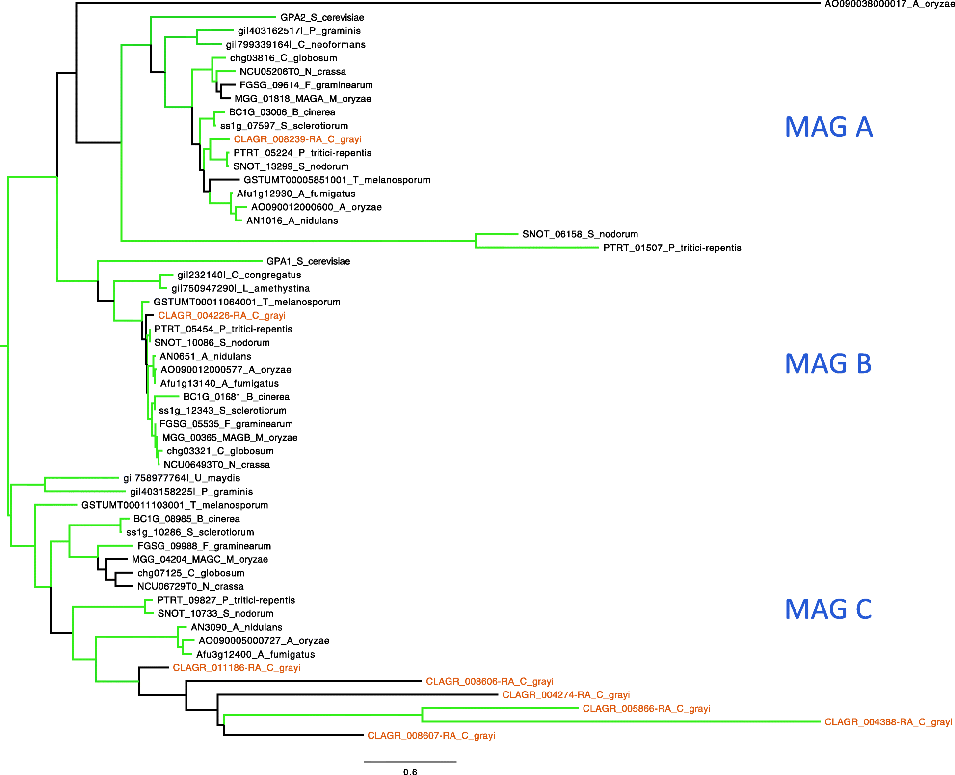 Fig. 13