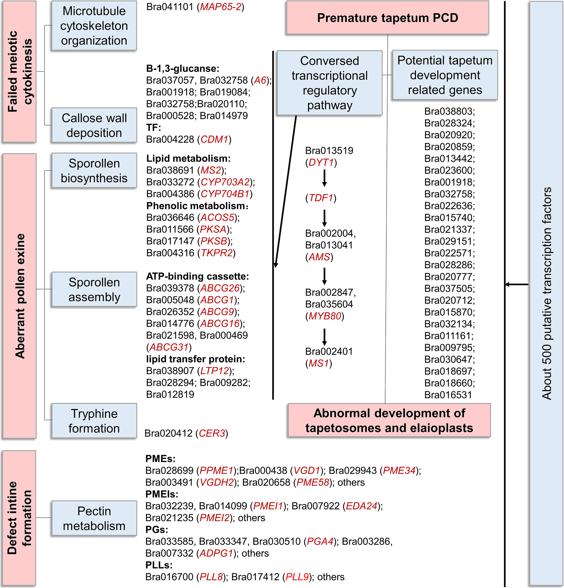 Fig. 11