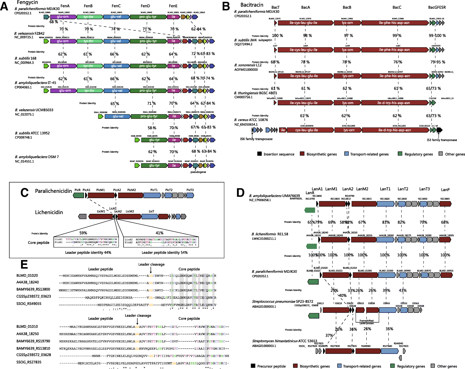 Fig. 6