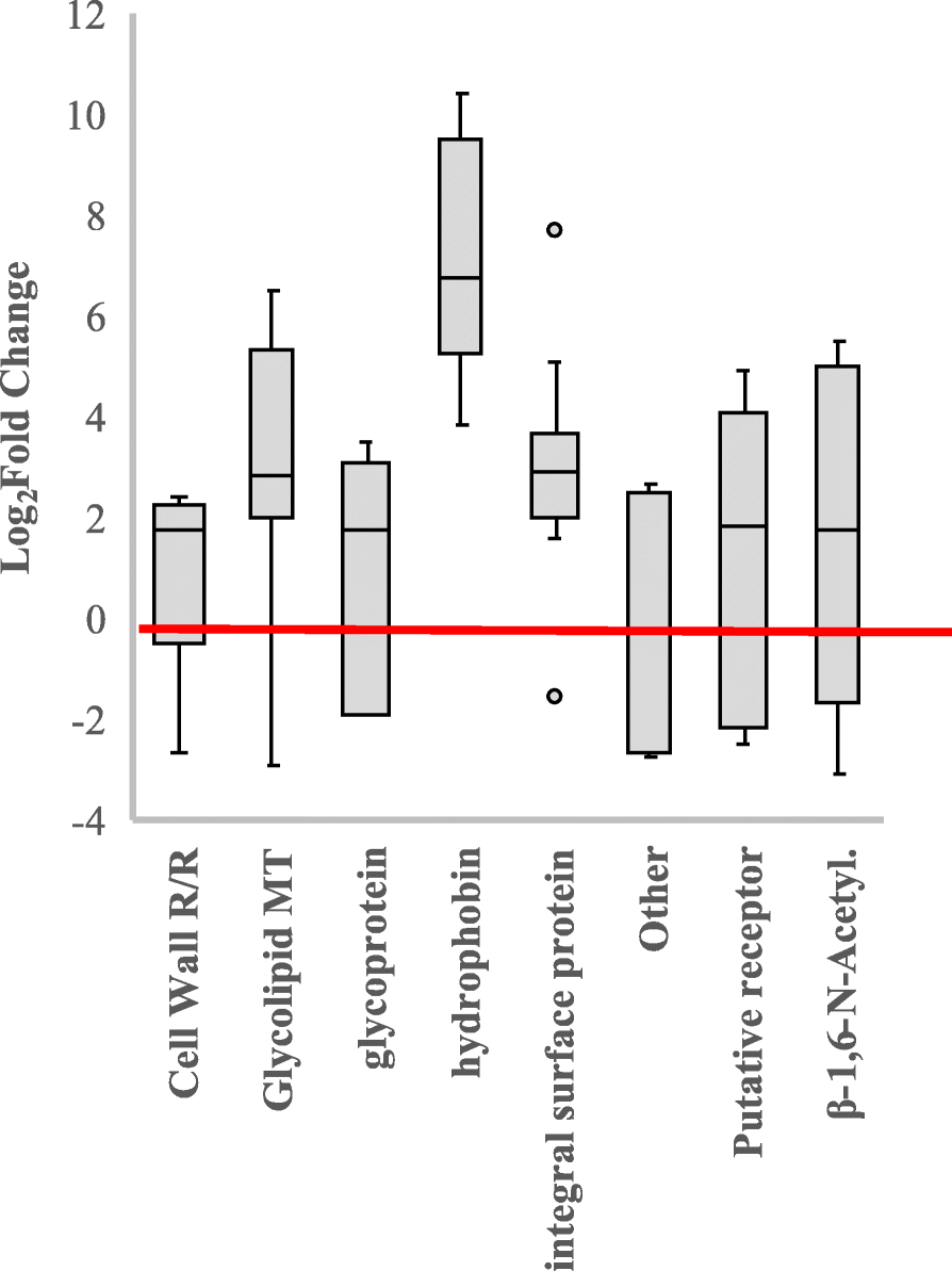 Fig. 8