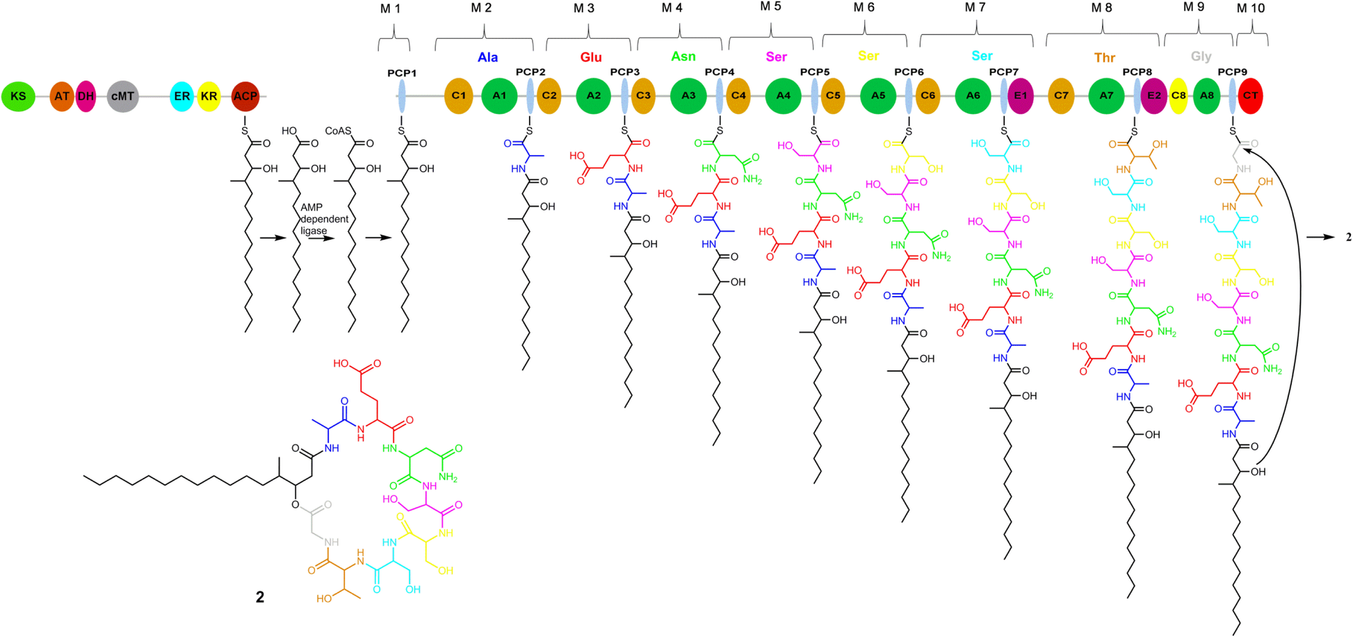 Fig. 6