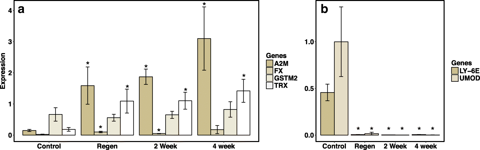 Fig. 5