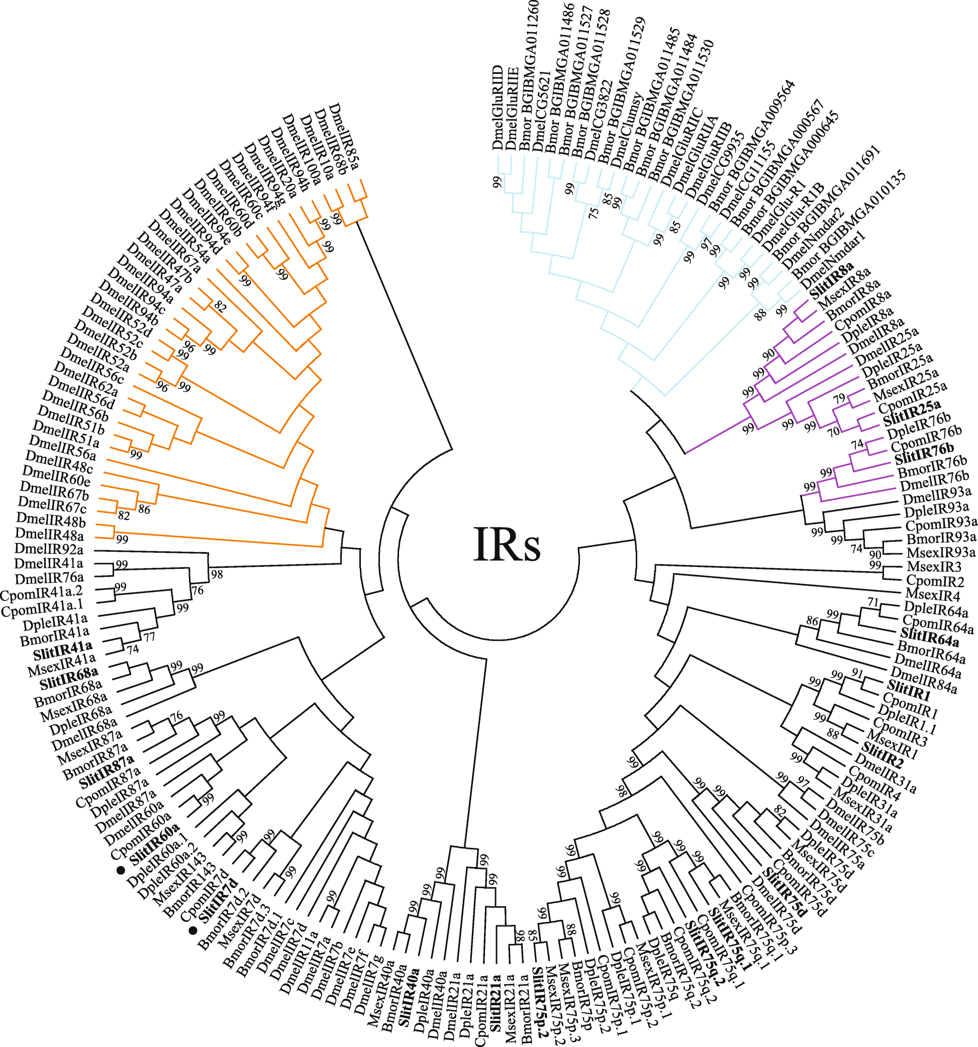 Fig. 5